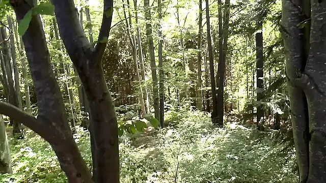 Amateur young couple love outdoor fuck in the forest