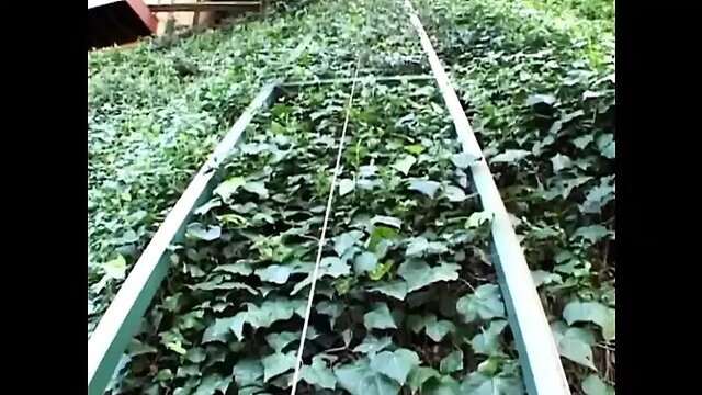 Nasty blonde girl takes intense raw anal fuck