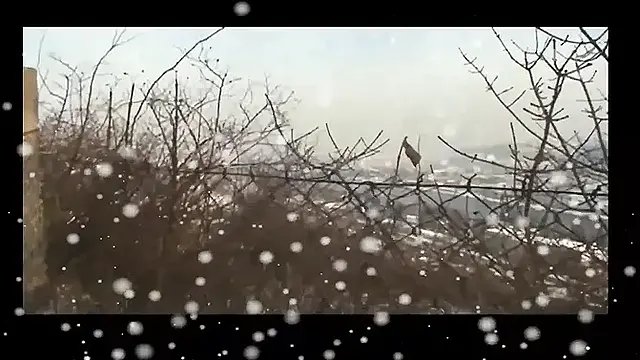 Young MILF Fucked and Creampied in Pussy by Big Hard Cock in the Snow