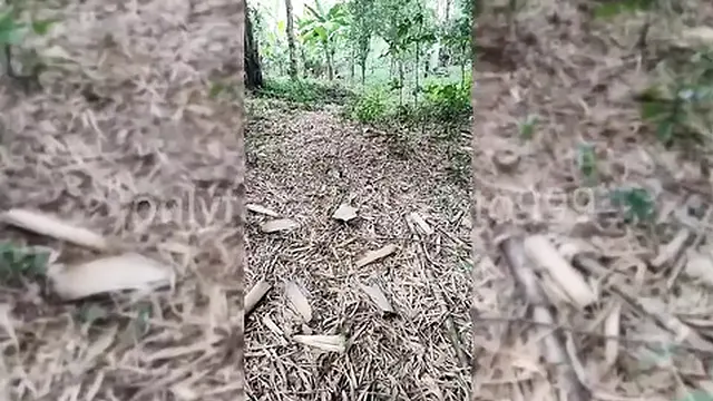 Shared a secret🤫 trip with my closest friend &mdash;  and things got wild on the mountain 