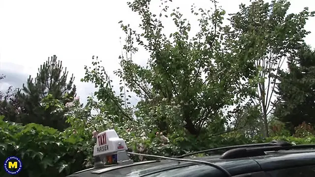 Sweet milf Takes Anal👌 and Gets a Rough Ride from Her Driver