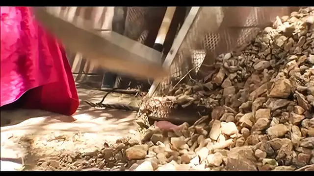 Audrey Takes a Big Dildo While Getting Anally Pleasured and Then Eats Cum